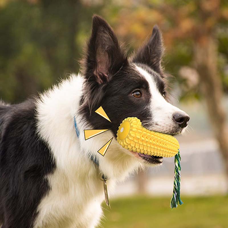 Juguete para Perros con Forma  - Corn Dog Stick reseña y precio